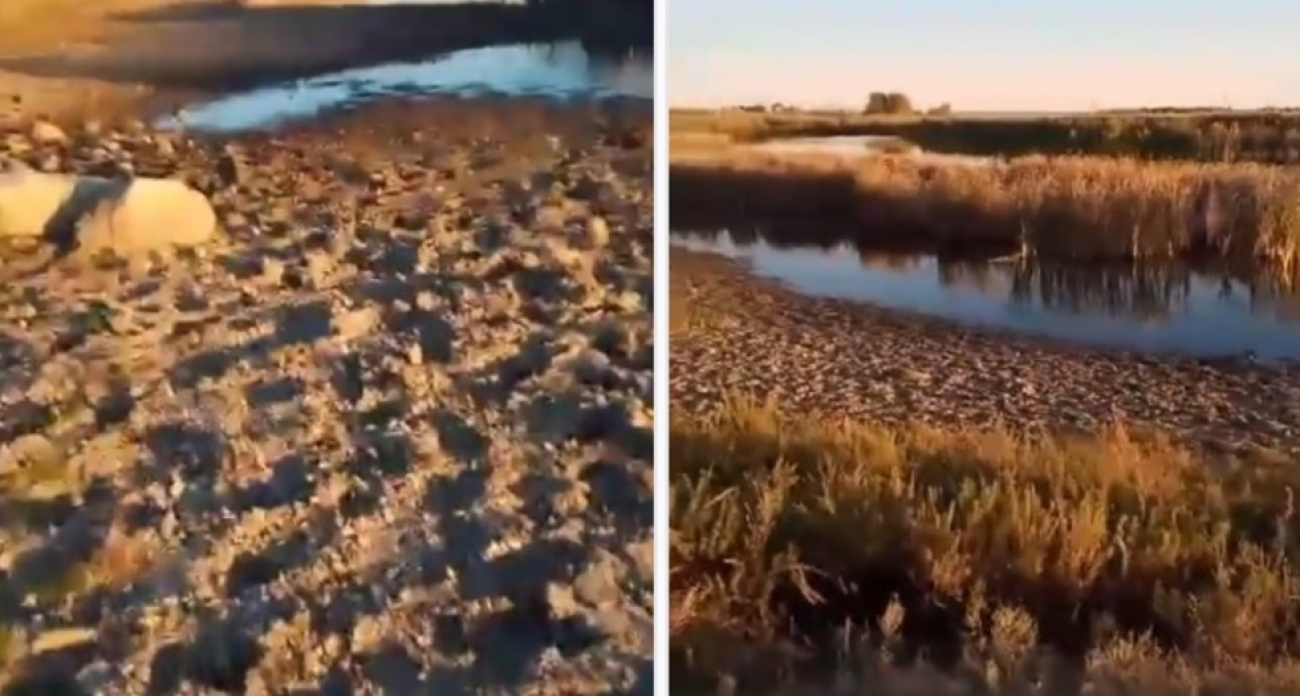"Обещали воду в сентябре — получили шиш": жители Большого Кушума остались без озера и с вонючей жижей из кранов