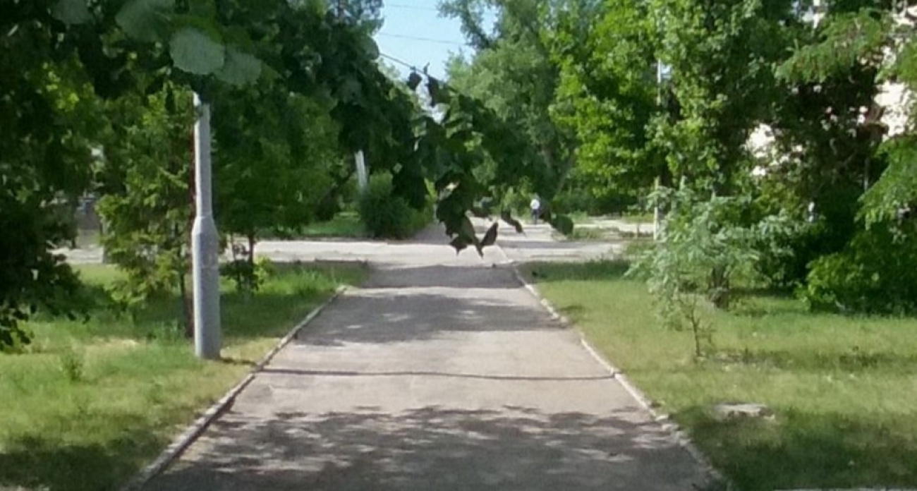 Губернатор Бусаргин утвердил масштабное благоустройство 12 территорий: от сквера Дружбы до стадиона в Энгельсе