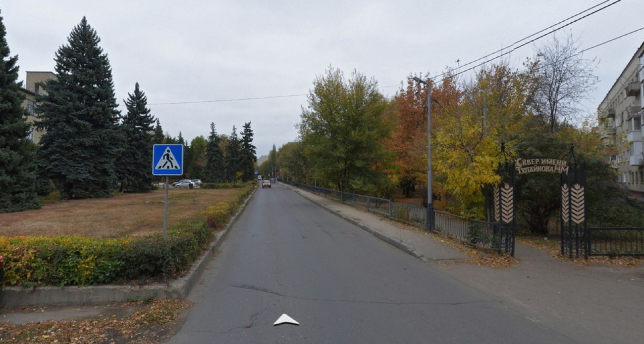 В Саратове потратят 1,1 млн рублей на подсчет каждого дерева за месяц