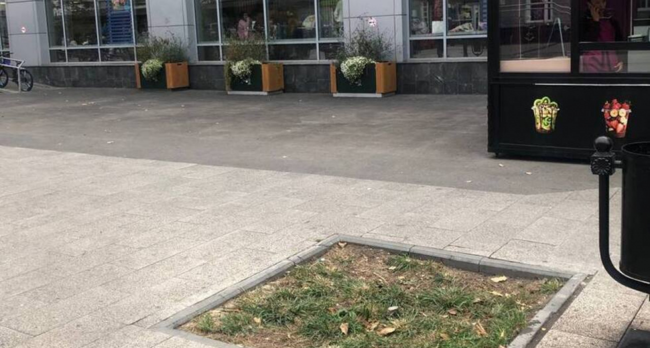 Варварски спилили дерево напротив "Детского мира" ради установки ларька на Столыпина