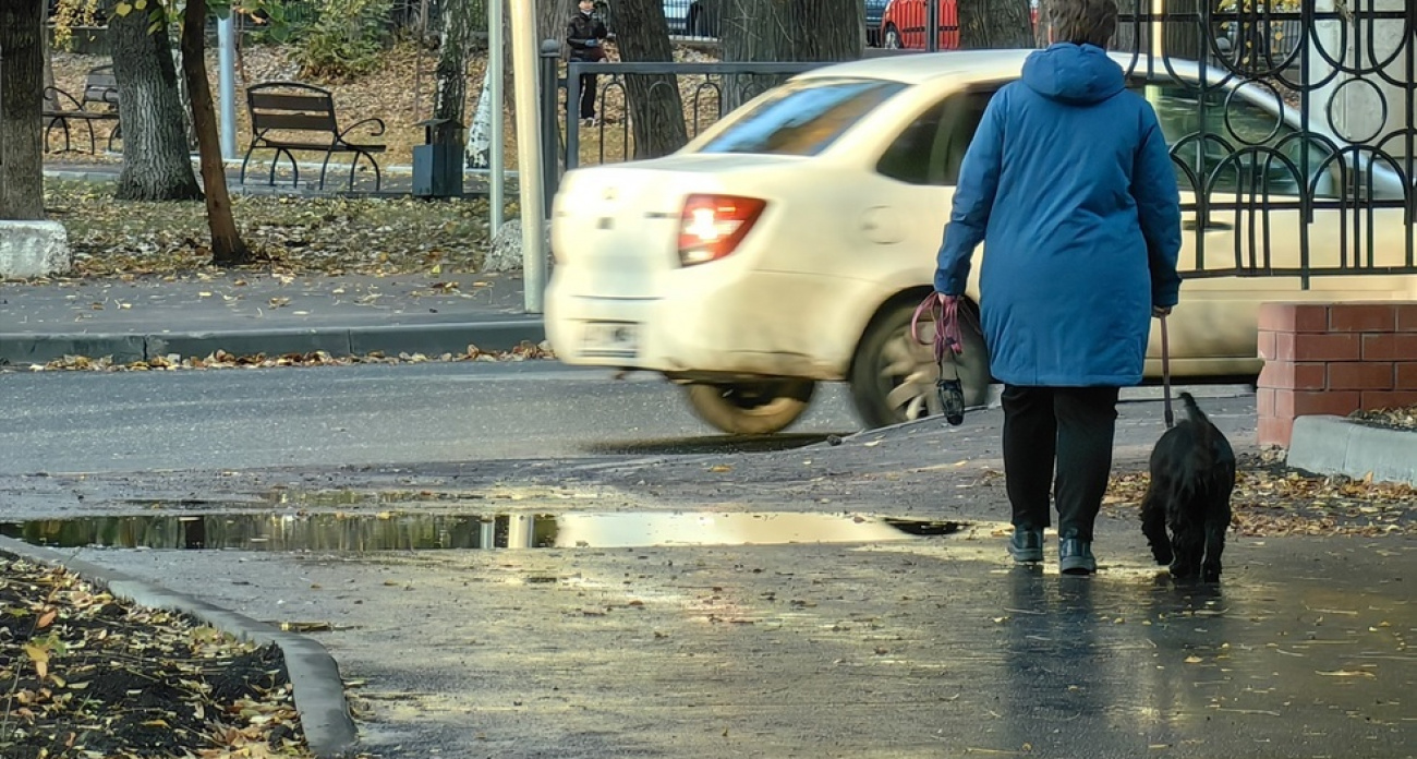 Посадить бы их. Сюда": в реконструированном за полгода Детском парке Саратова ворота валяются на газоне, а вход встречает "первозданной лужей