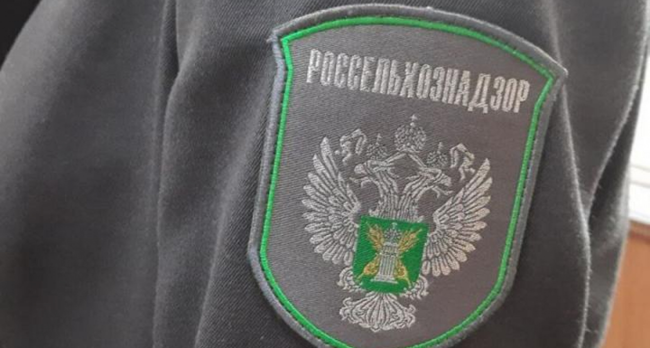 700 «липовых» деклараций на 900 тысяч тонн саратовского зерна: аккредитация лаборатории была приостановлена