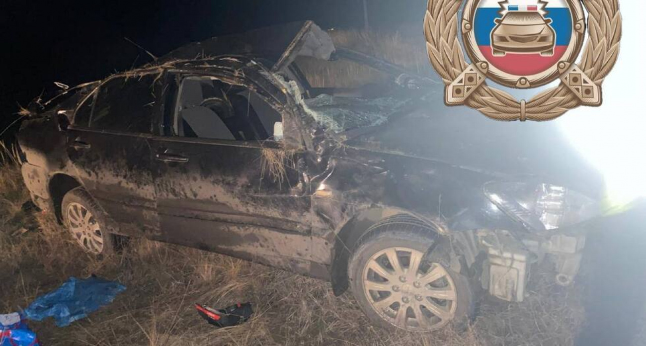 Mitsubishi с 61-летним водителем опрокинулся возле села Спасское: двое пенсионеров в больнице