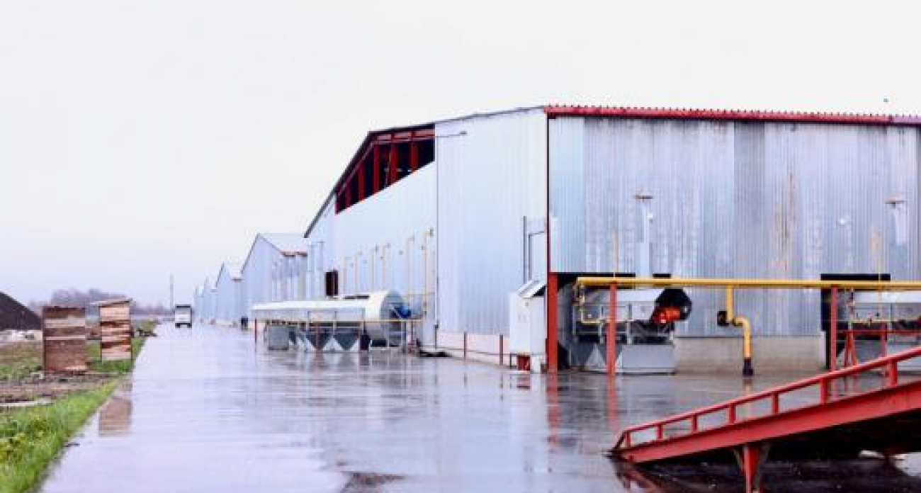 2 млрд в подсолнечник и 1,5 млрд в рыбкорм: в Балашовке запускают заводы на 3,5 миллиарда