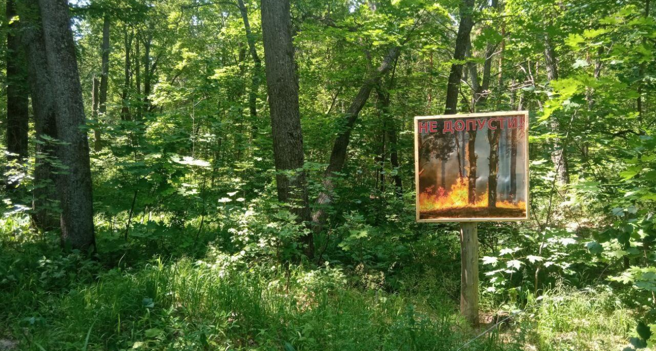 Саратовская область снимает особый противопожарный режим: установлен первый класс опасности