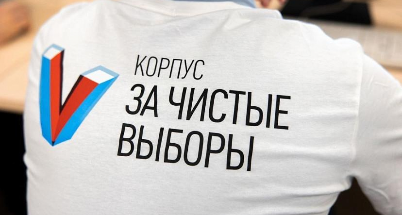 700 лучших наблюдателей страны: как саратовцы проходят отбор на первый конгресс в столице