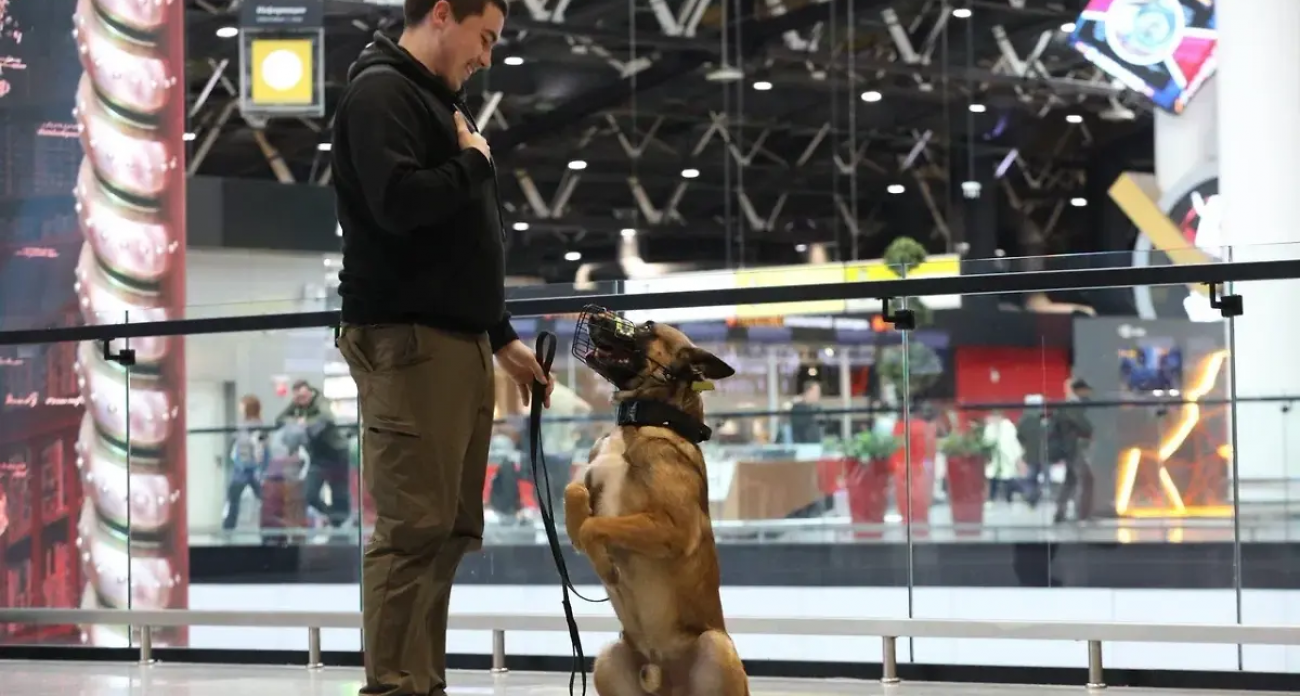 Пять аэропортов закрыты после атаки 57 дронов: ПВО отражала удар три часа