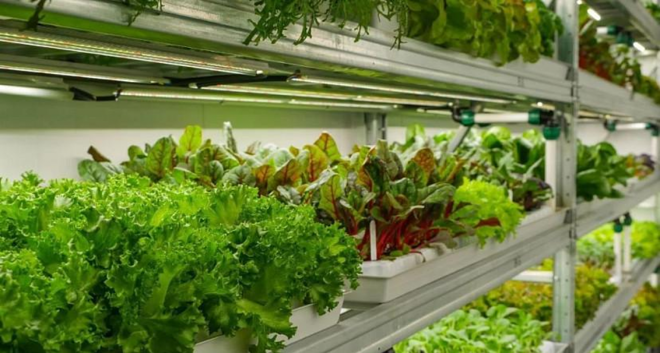 Мобильная ферма на 30 м² с прибылью 103 тысячи в месяц продается за 3,5 млн рублей