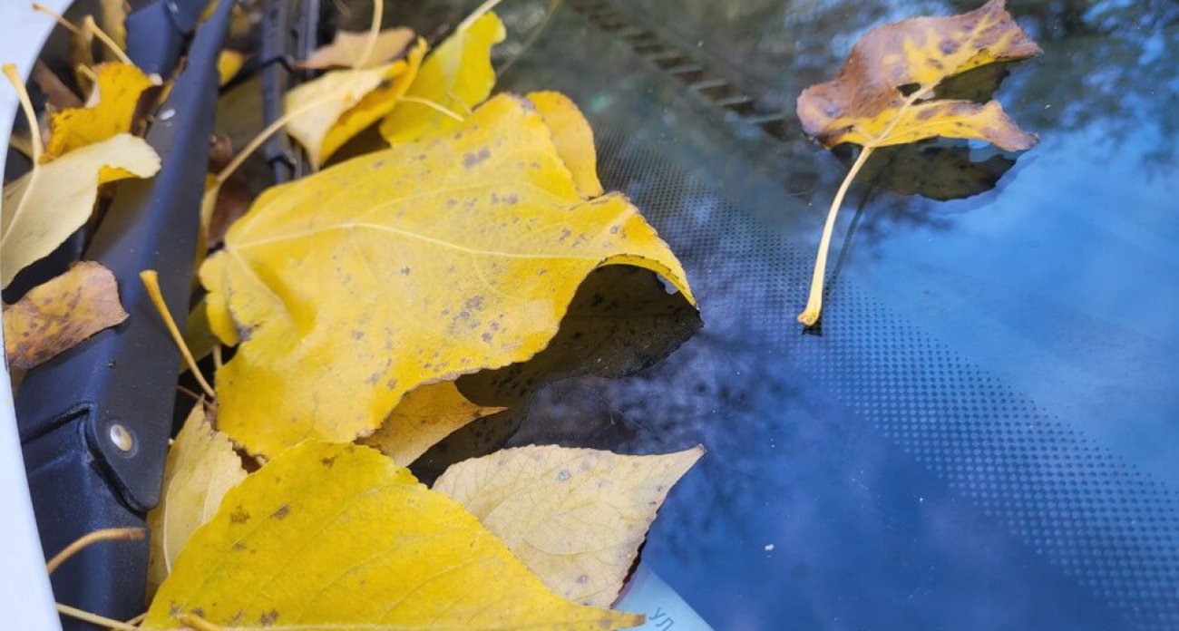 МЧС предупреждает: в Саратовской области ночью ударят морозы до -5 градусов