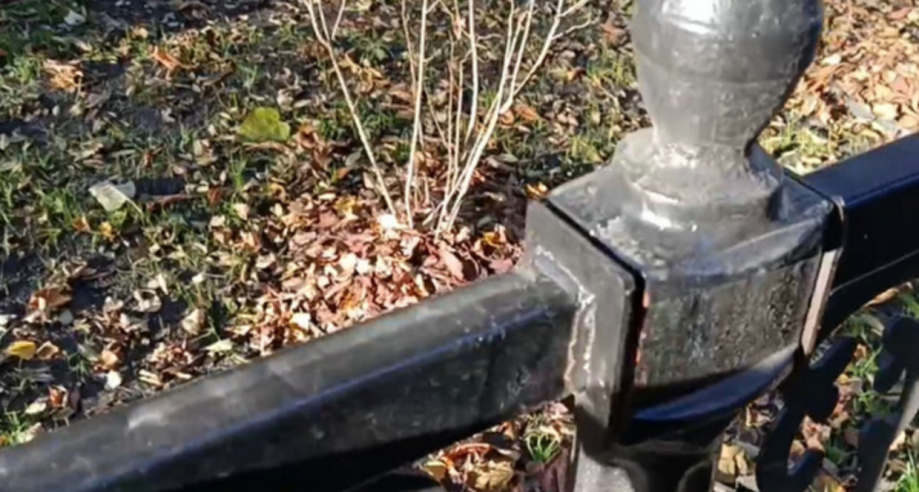 "Спасибо за видеоматериал": в Саратове новая ограда рухнула от одного касания через месяц после установки