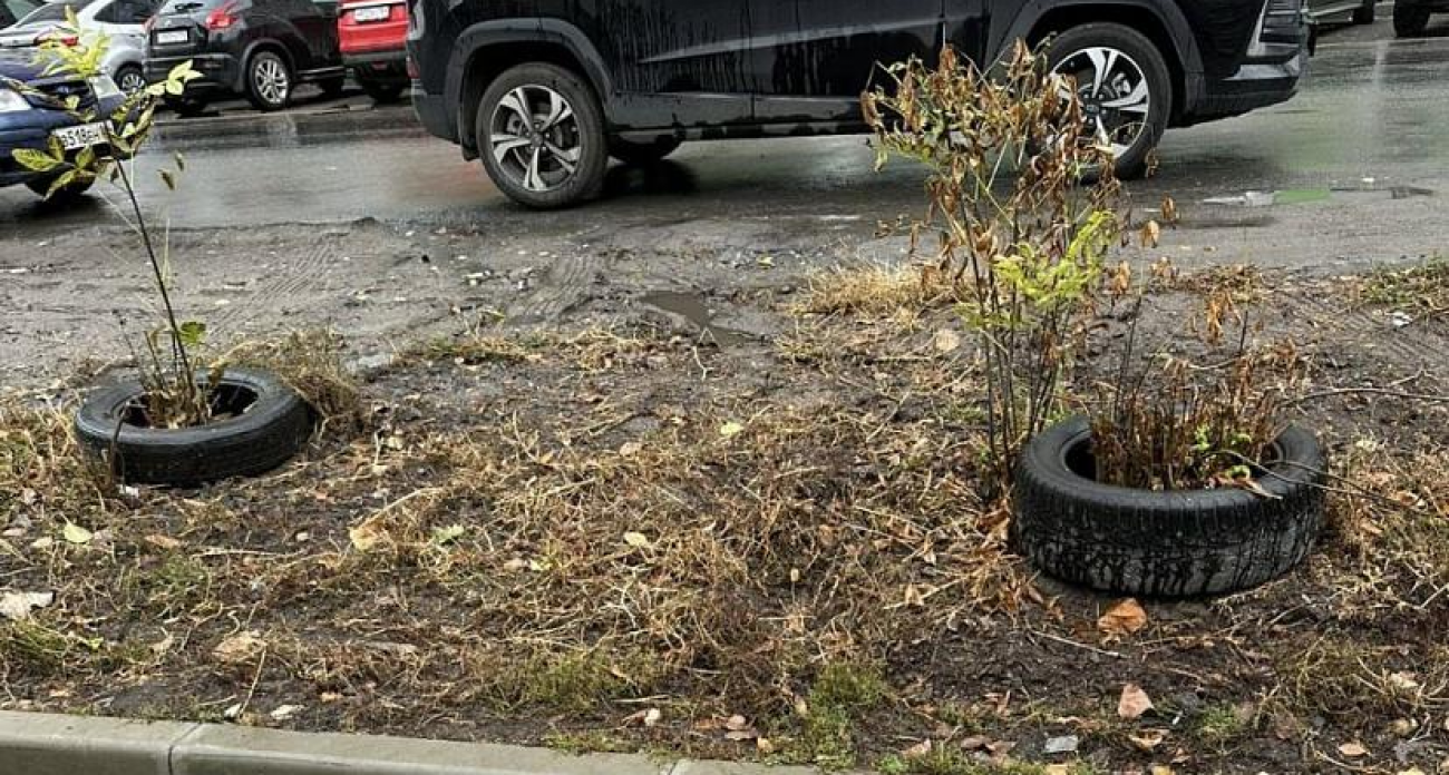Татьяна из Саратова обвинила власти в создании «пожарной угрозы» из-за покрышек во дворах
