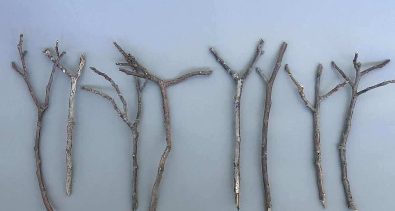 Саратовчанка продает «отборные руки из экологически чистого леса» для фотогеничных снеговиков