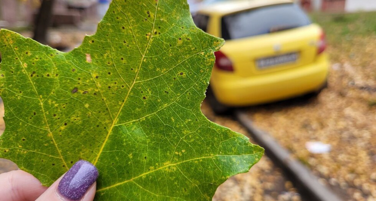 Туман с видимостью 500 метров накроет Саратовскую область в выходные