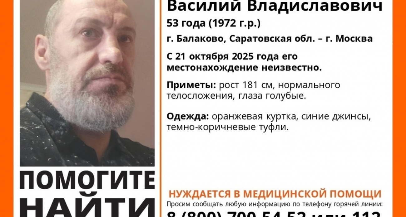 "Лиза Алерт" ищет 53-летнего Василия в оранжевой куртке, пропавшего по дороге в Москву