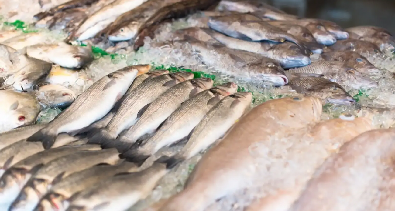 Добыча рыбы в Баренцевом море упала в три раза: как санкции ЕС ударили по самой России