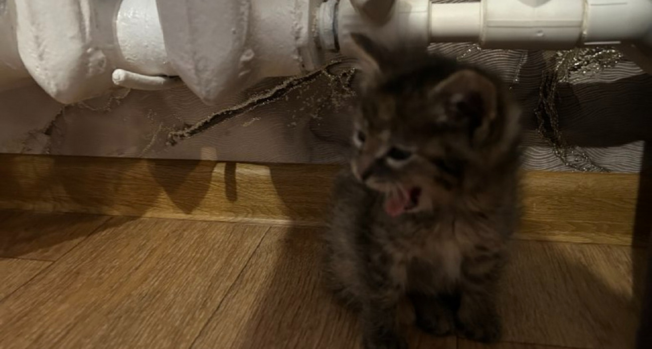 Четыре района Саратова остались без тепла и горячей воды до утра вторника