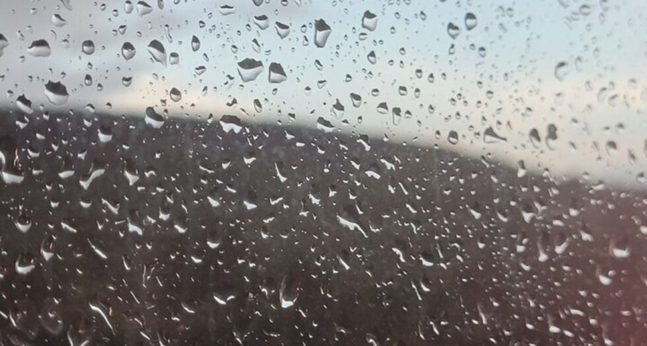 Туман накроет Саратовскую область: видимость упадет до километра, ветер усилится до 10 м/с