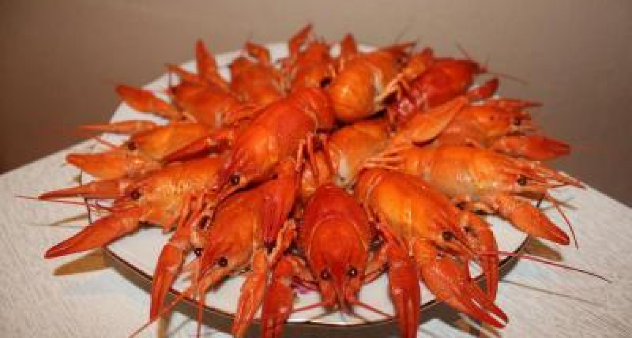 Саратовская область взлетела в лидеры ПФО: 942,9 млн яиц за 9 месяцев и первое место по рыбе