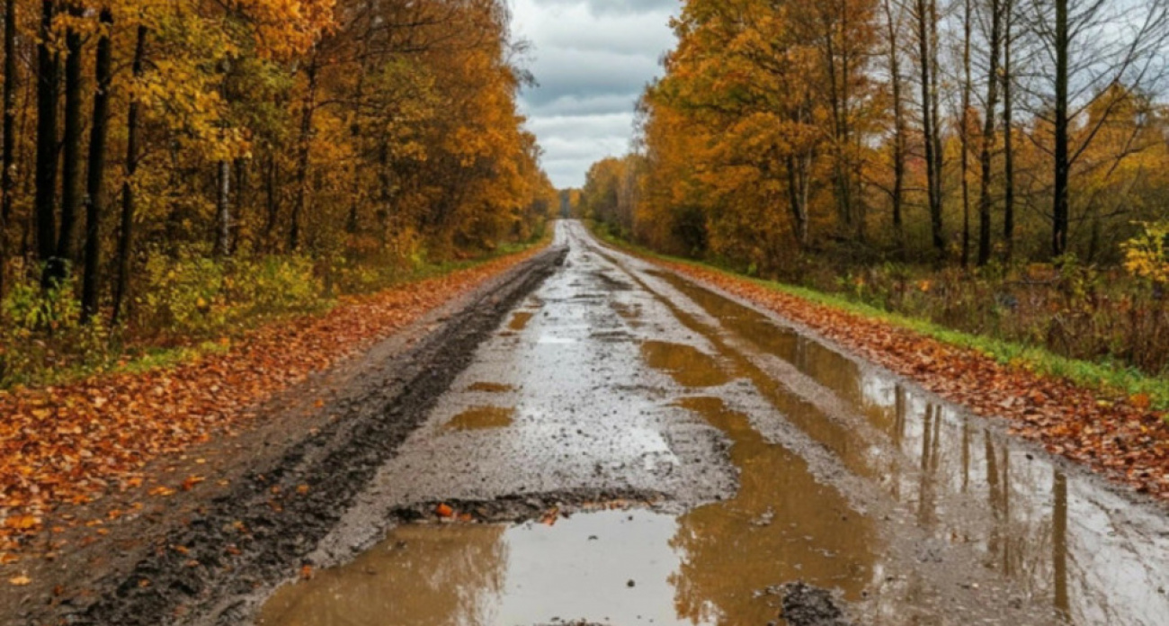 Мусоровозы застревают в грязи: 2,7 тысячи фотоотчетов о недоступных контейнерах в Саратовской области