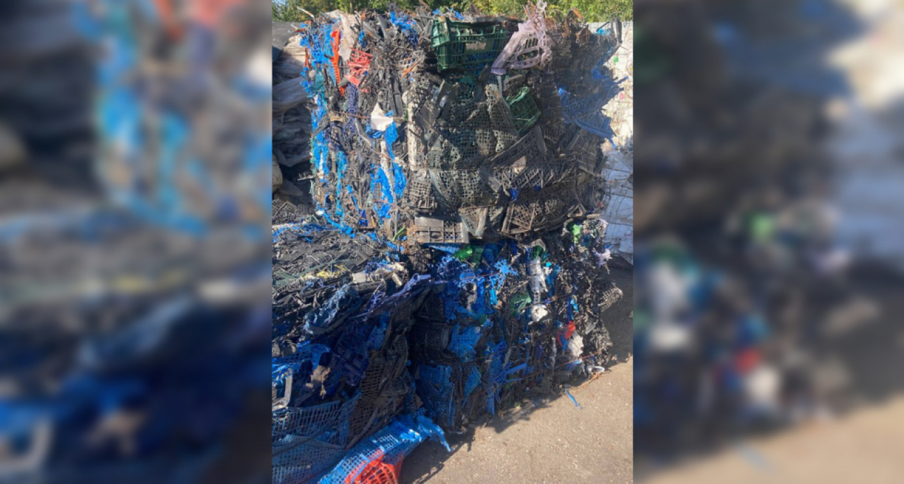 Энгельсский "Вторматик" за год принял рекордные 210 кг ведер — жители получили деньги за экологию