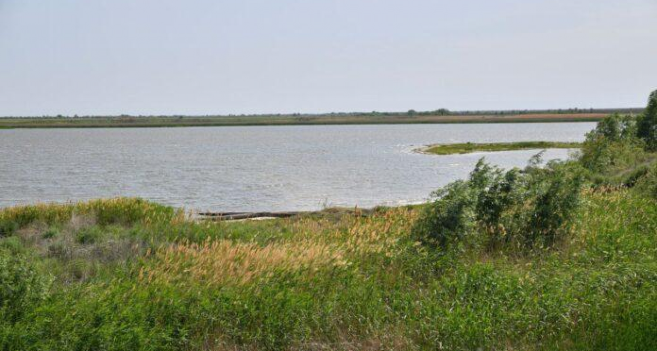 19 миллионов кубометров воды: Саратовская область закачала пруды на 100 млн рублей