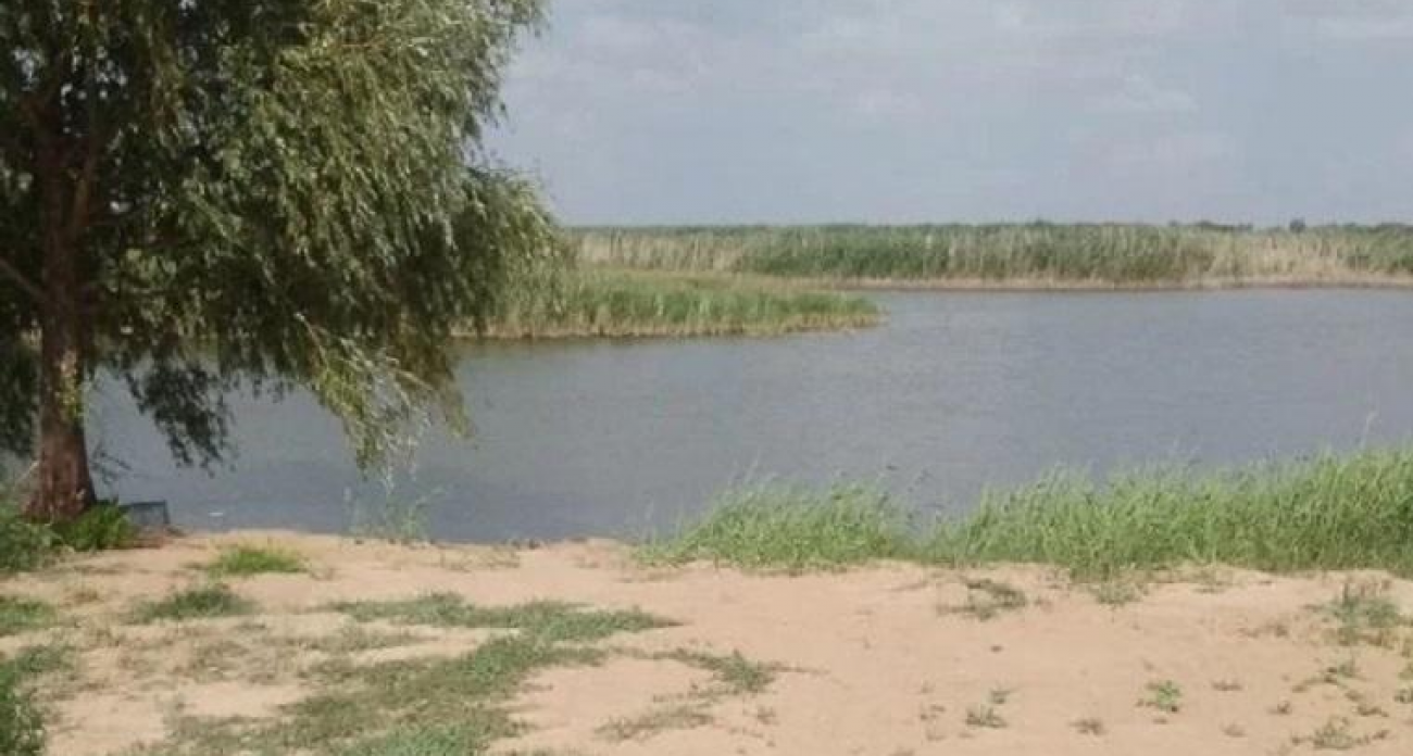 Под Саратовом продают 65 гектаров прудов с рыбой за 7,5 миллиона рублей