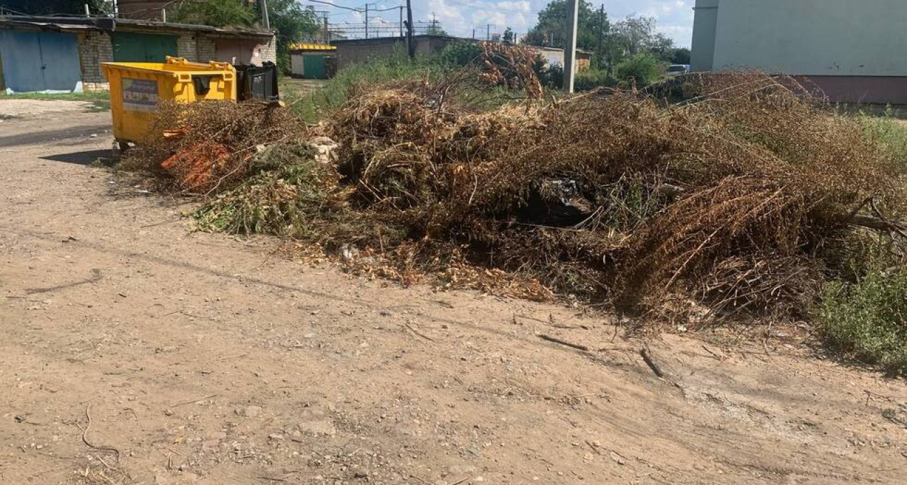 С 1 сентября запрещено складывать ветки у мусорных баков, но саратовцы продолжают это делать