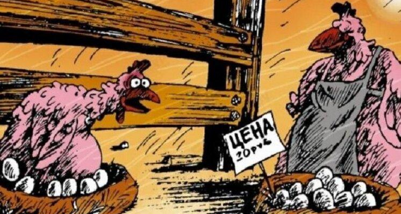 Курятина подешевеет в Саратовской области: регион обеспечивает себя мясом птицы лишь на 16%