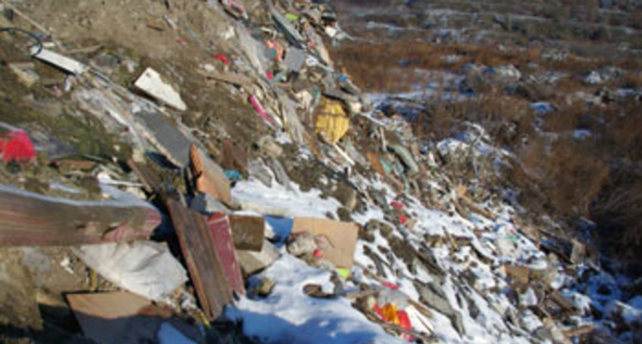 В Саратове миллион рублей потратят на круглосуточную охрану оврага от мусора