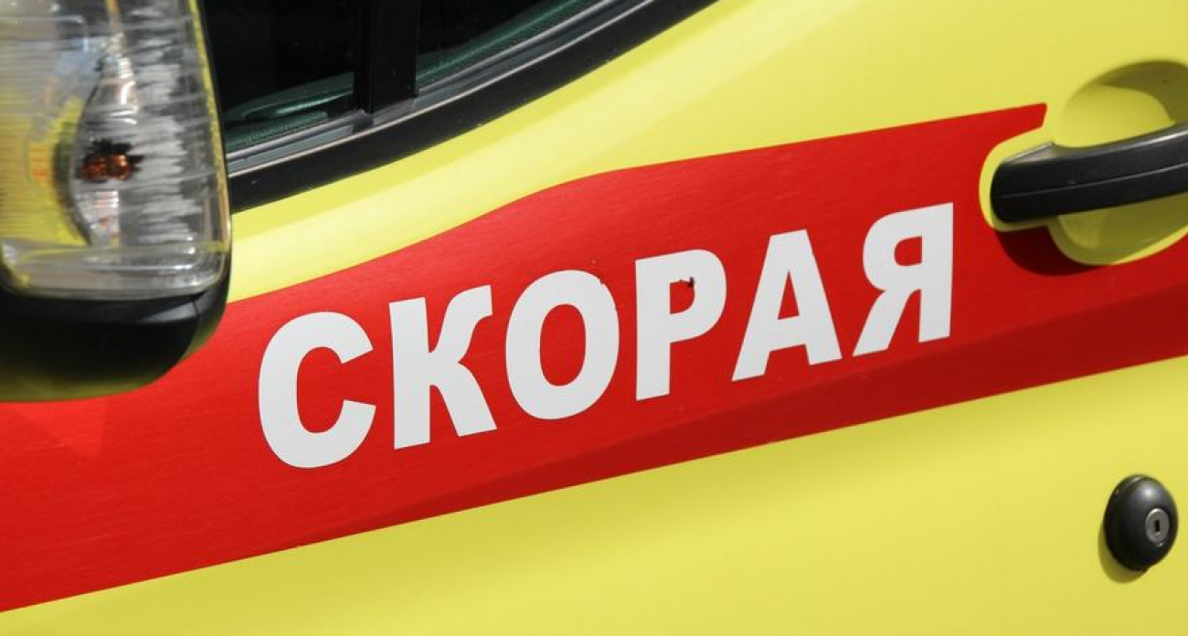 1210 детей пострадали от собак в Саратовской области за 10 месяцев