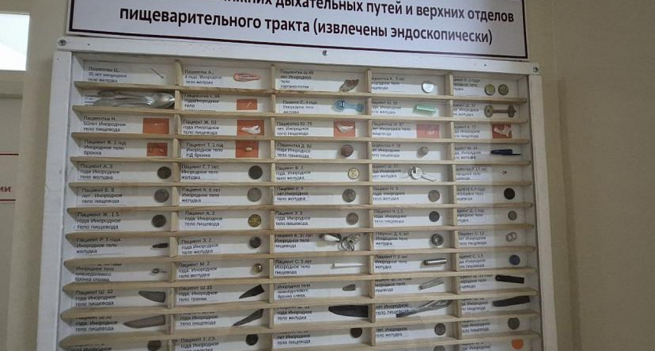 От монет до ножей: саратовские врачи собрали музей проглоченных предметов на целую стену