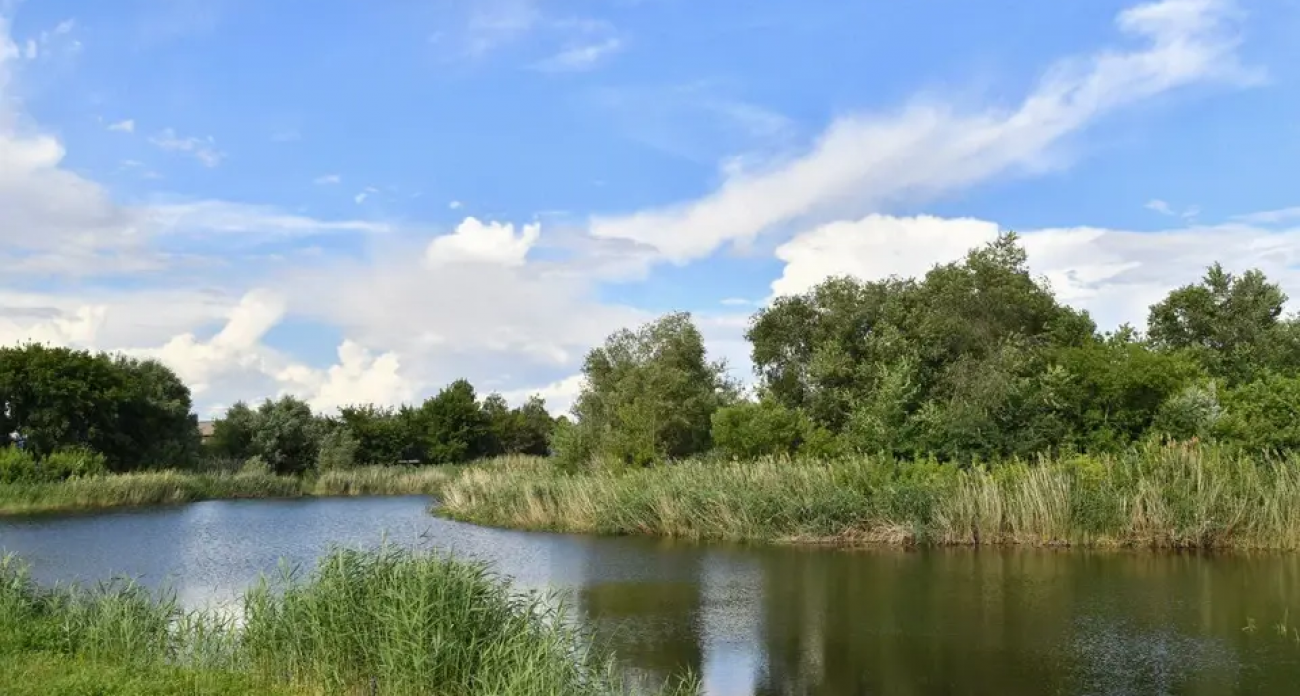 20 миллионов кубометров воды: в Саратовской области заполнили 88 водоемов на 100 млн рублей
