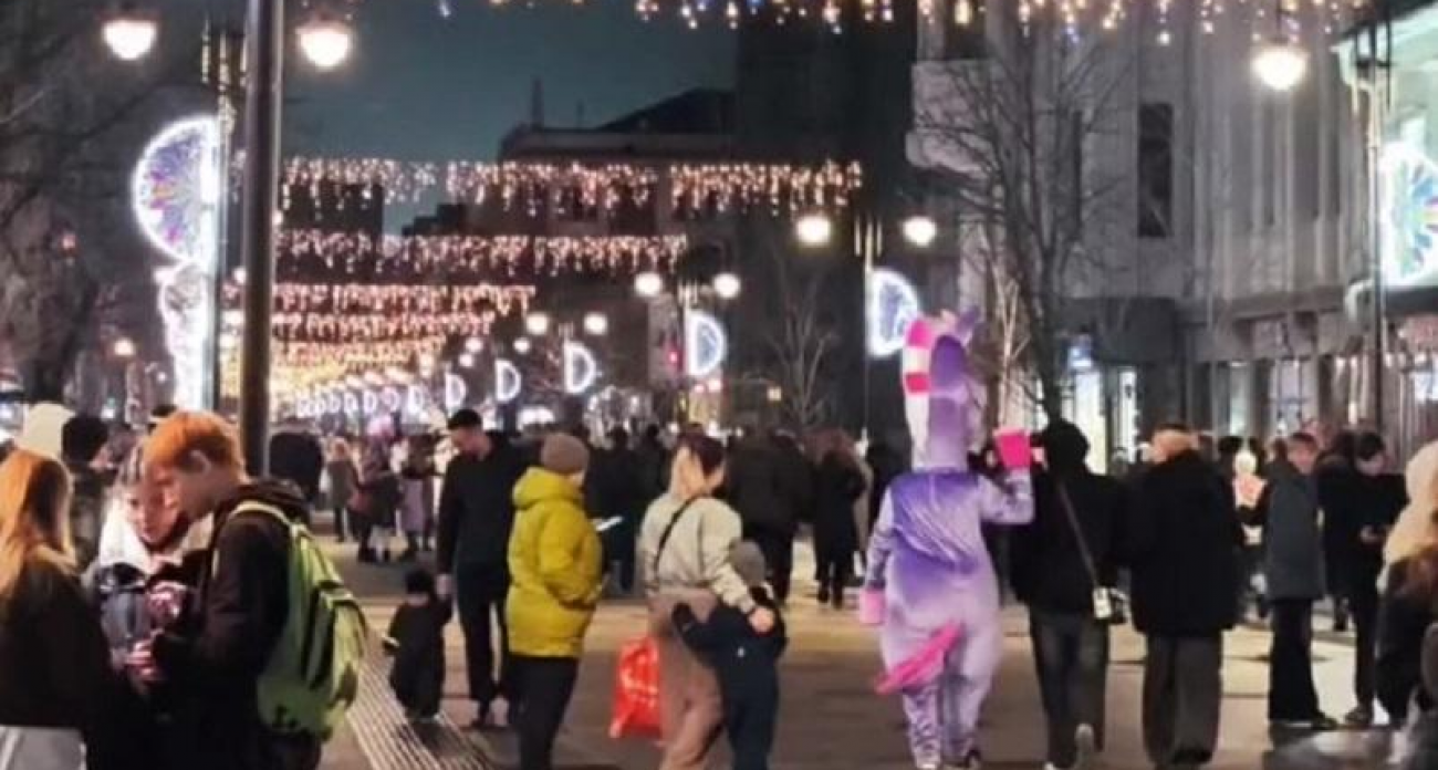 Плюшевые Конь и Зебра вышли на «предновогоднюю охоту» за саратовцами на проспекте Столыпина