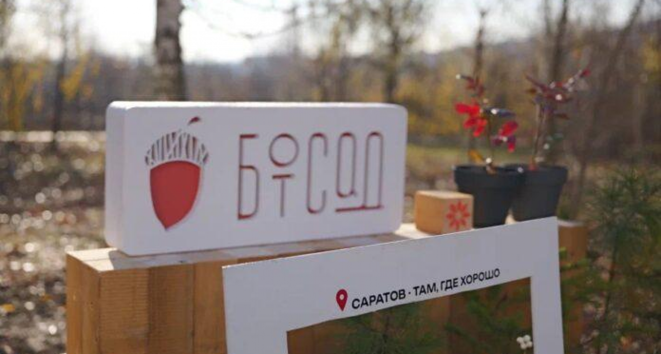 8000 за выходные: обновленный Ботсад СГУ штурмуют саратовцы после реконструкции Володина