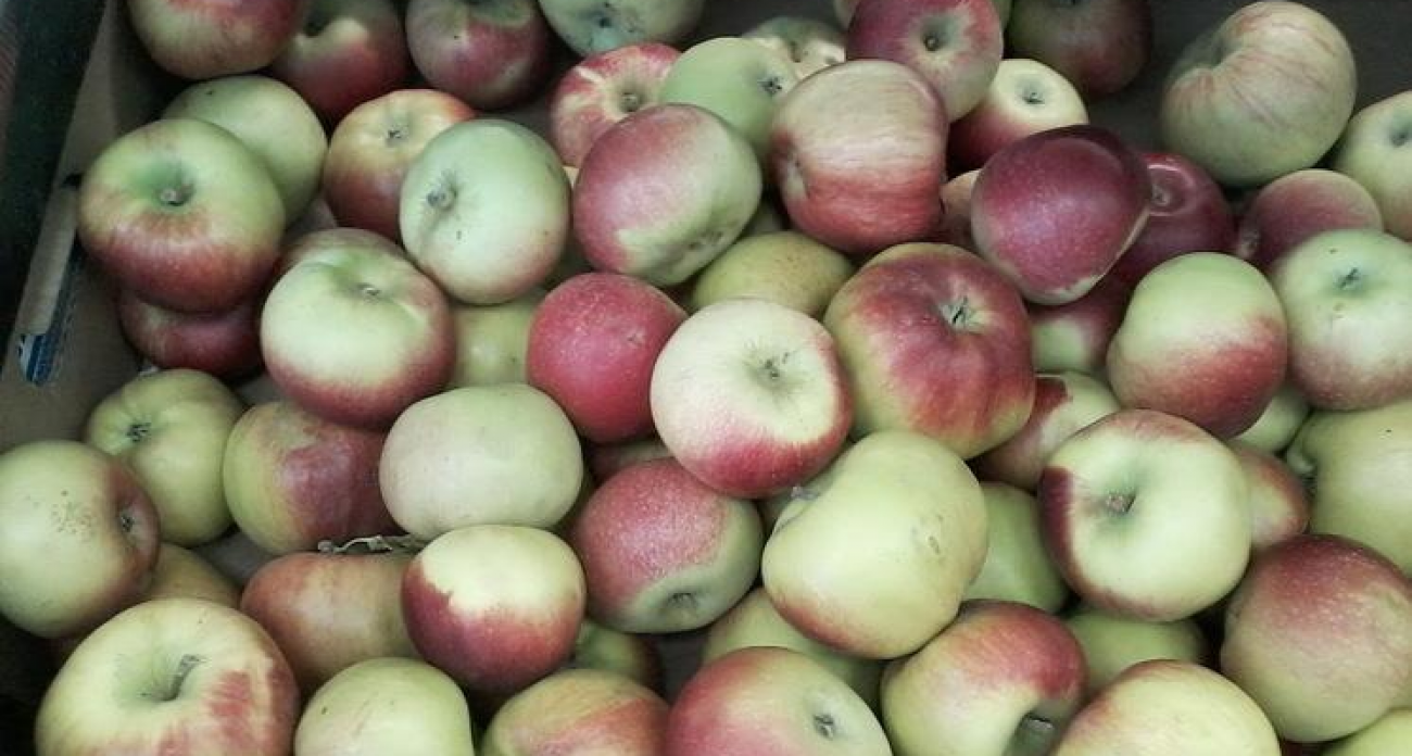 Энтеровирус живет в продуктах месяц, а в замороженном виде — годами