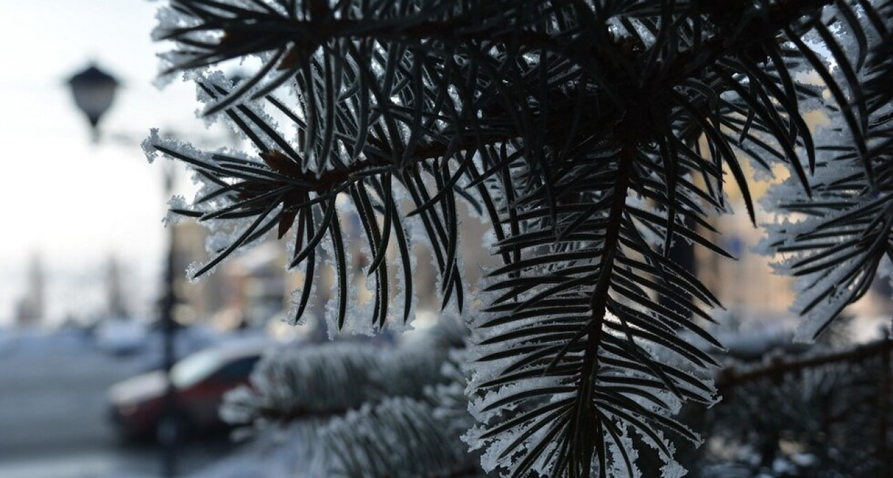 "Кометы" на Театральной и 12-метровая елка в Горпарке: Саратов потратит 10 миллионов на светодиодные украшения