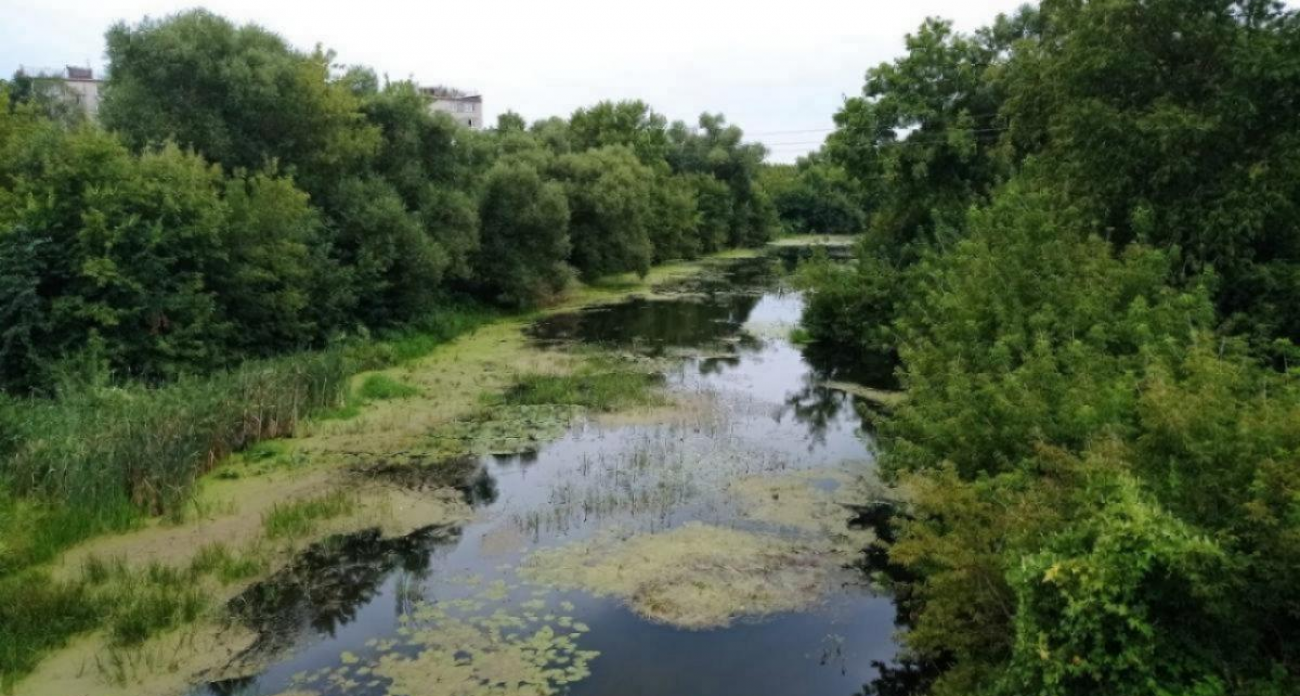 Хопер, Большой Узень и еще 4 реки Саратовской области расчистят за 150 миллионов рублей
