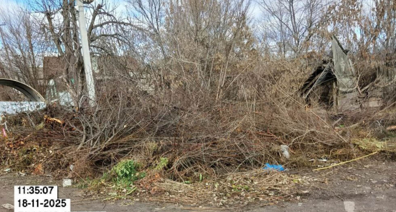 Растительные отходы захламили контейнерные площадки несмотря на запрет с 1 сентября