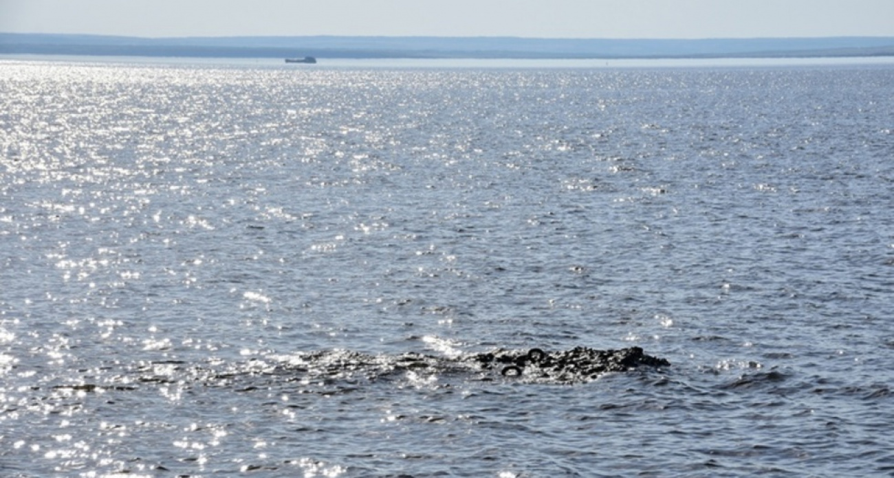 Коммунальщики Саратова годами сливали в Волгу неочищенные стоки без нормативов