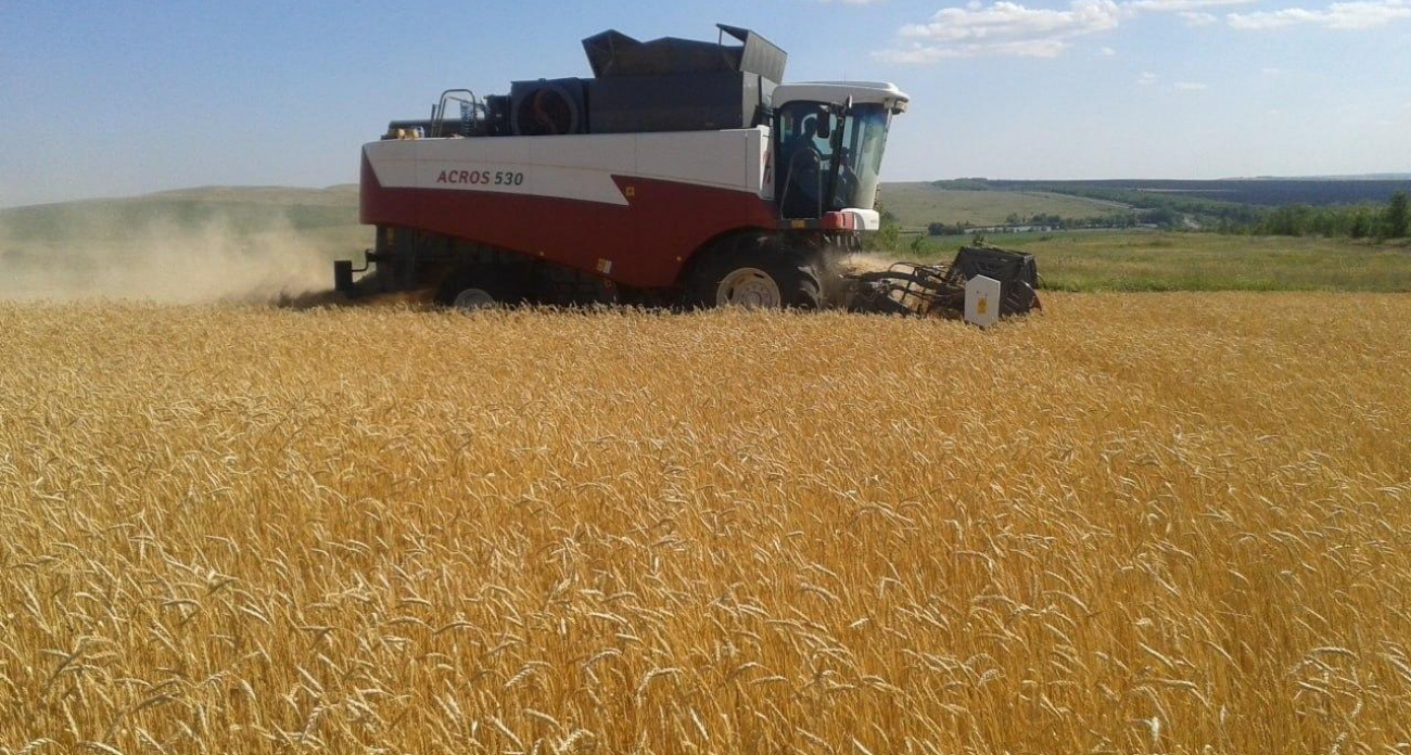 Калининский район обогнал соперников по урожаю зерна в Саратовской области