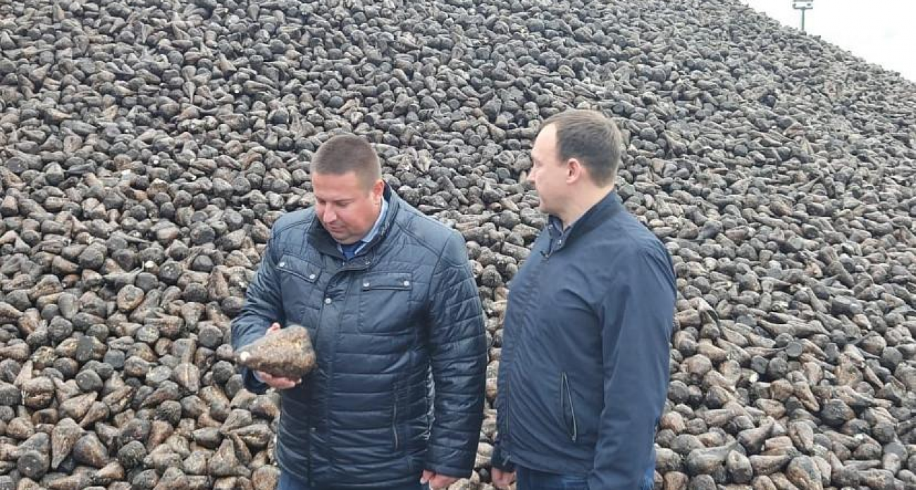 28 кг на жителя: Саратовский сахар превысил потребность региона в 3,6 раза