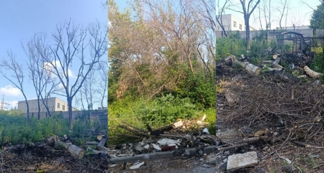 Чиновники Фрунзенского района полгода не могут вывезти спиленные деревья: сначала мешала погода, теперь молчат