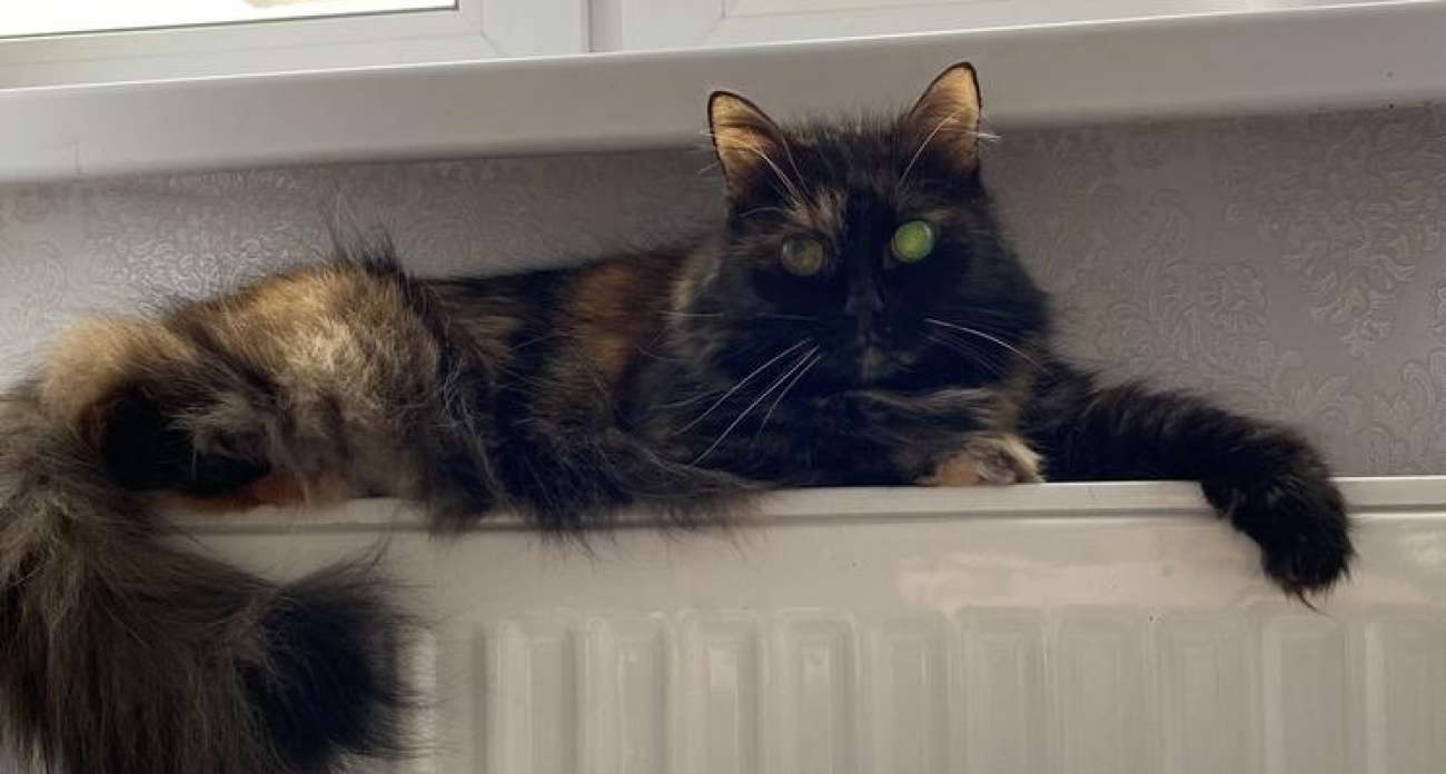 Ниже +18°С в квартире? Калужанам объяснили, как вернуть деньги за холодные батареи