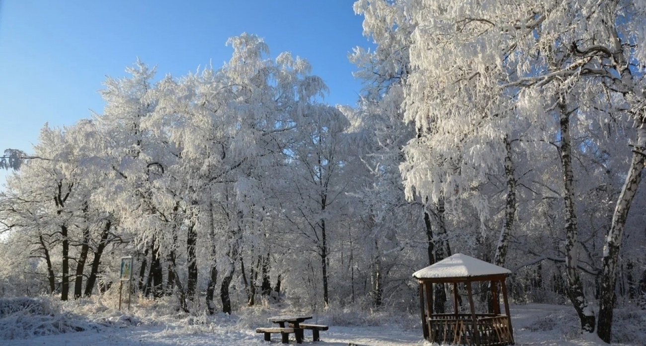 Астрономы назвали точное время начала зимы: 21 декабря в 19:03 день сократится до 6 часов 59 минут