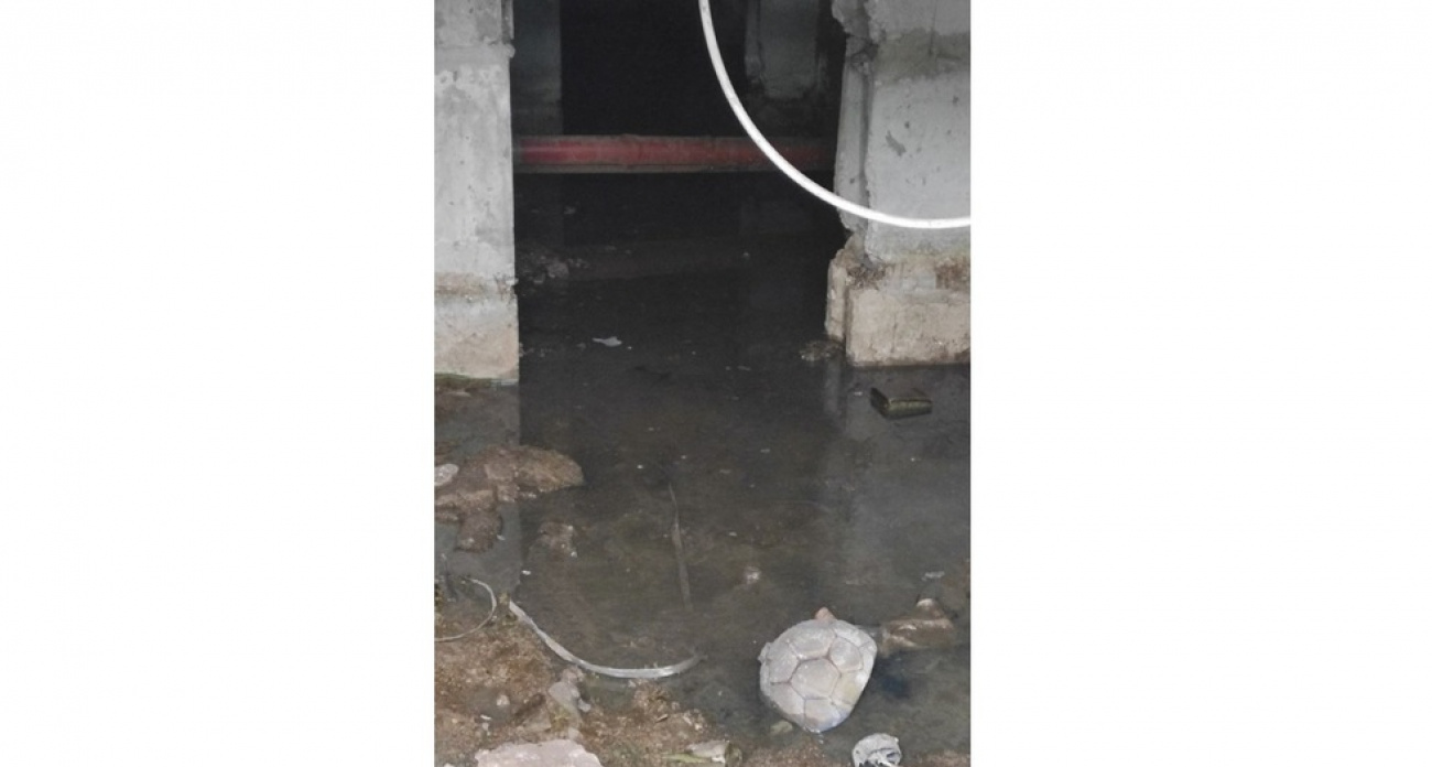 Дом на Муленкова затоплен фекалиями уже три недели: УК "ДОС" бездействует, дети задыхаются от зловония