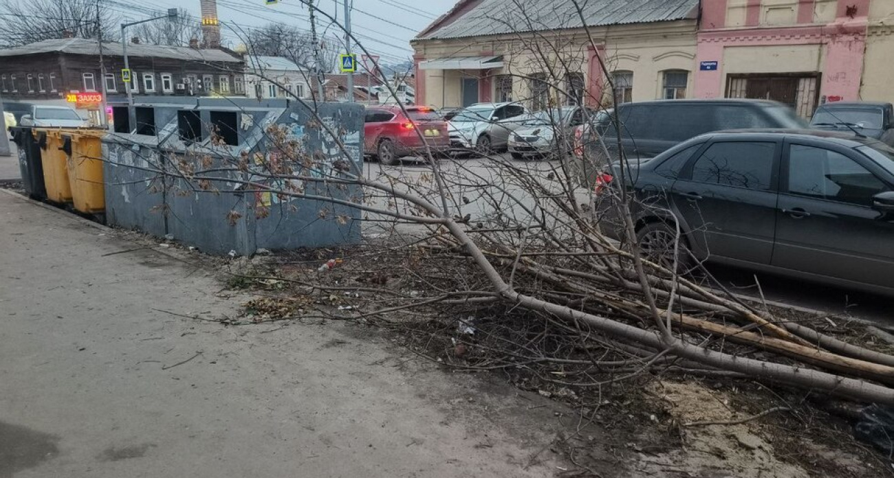 Каждое третье обращение саратовцев — о горах веток возле домов: кто должен их убирать?