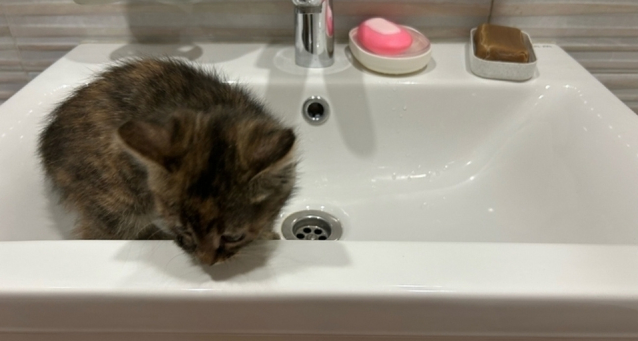 23 поселка Саратова останутся без воды на сутки из-за ввода нового водовода