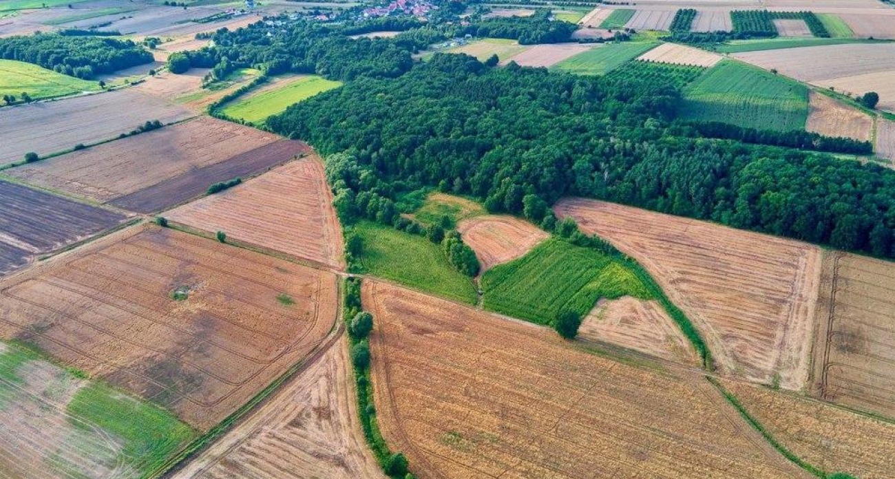 Минсельхоз РФ с марта 2026 года получит власть над каждой пашней и пастбищем Саратовской области