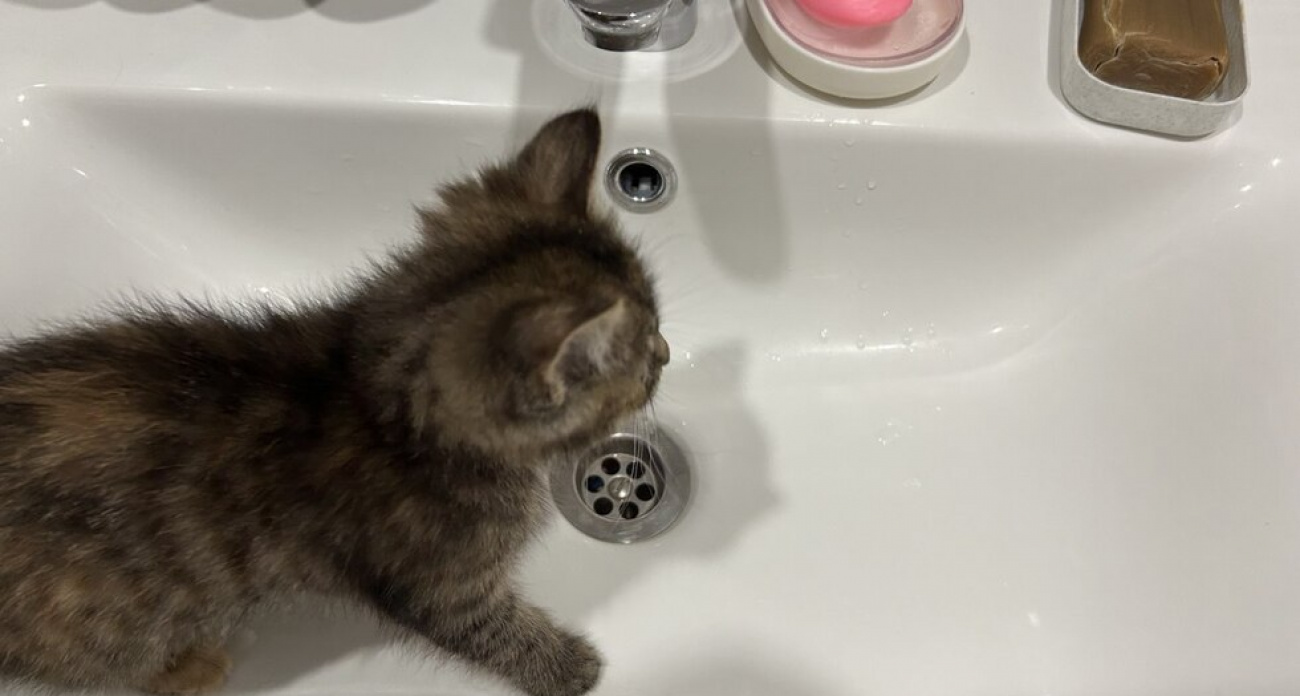 Тысячи саратовцев остались без холодной воды в выходной: когда включат