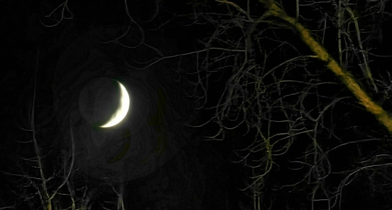 "Сколько ещё люди будут ходить по темноте?": жители Саратова готовят жалобу Путину на годы без освещения